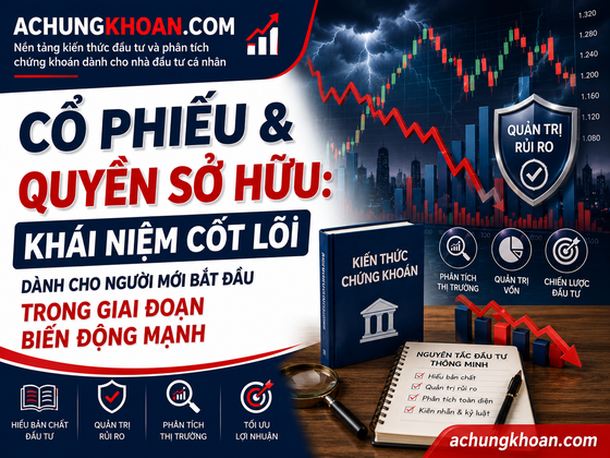 Cổ Phiếu & Quyền Sở Hữu: khái niệm cốt lõi dành cho người mới bắt đầu trong giai đoạn biến động mạnh — Kiến Thức Chứng Khoán