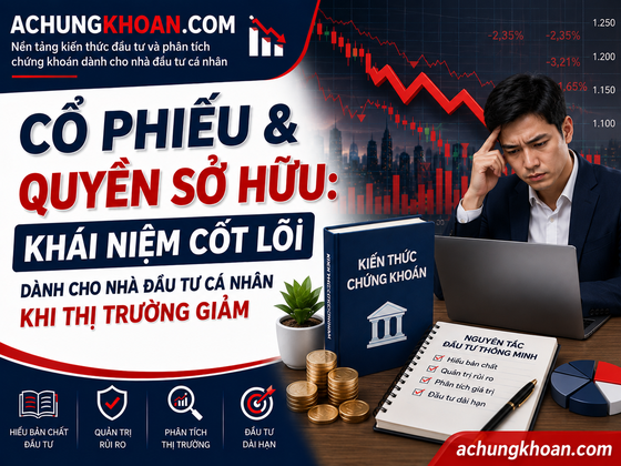 Cổ Phiếu & Quyền Sở Hữu: khái niệm cốt lõi dành cho nhà đầu tư cá nhân khi thị trường giảm — Kiến Thức Chứng Khoán