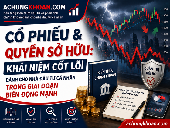 Cổ Phiếu & Quyền Sở Hữu: khái niệm cốt lõi dành cho nhà đầu tư cá nhân trong giai đoạn biến động mạnh — Kiến Thức Chứng Khoán