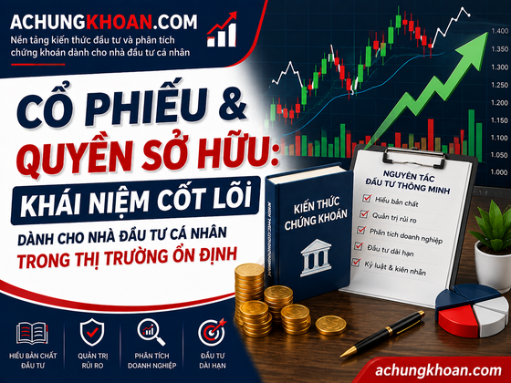 Cổ Phiếu & Quyền Sở Hữu: khái niệm cốt lõi dành cho người đi làm bận rộn trong thị trường ổn định — Kiến Thức Chứng Khoán